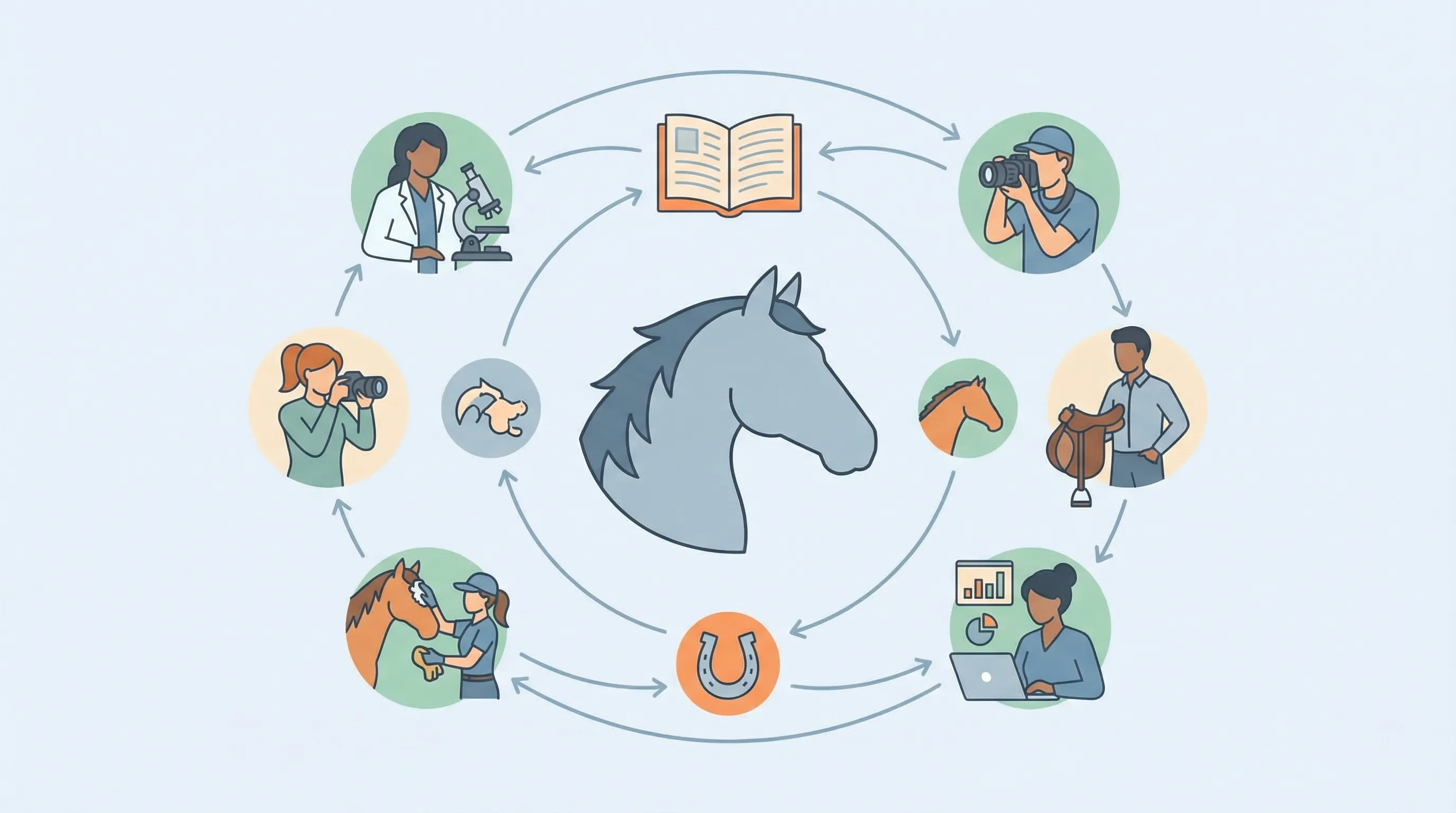 The Ultimate Equine Career List