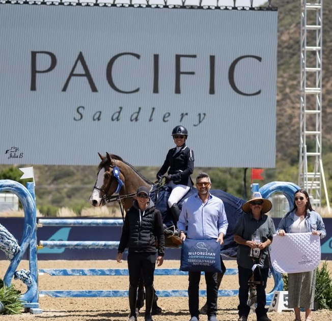 M&M Showjumping featured image