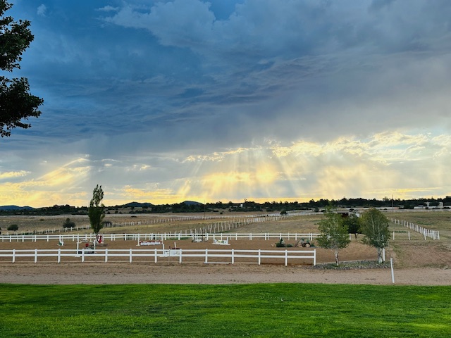 Happy's Dream Ranch featured image