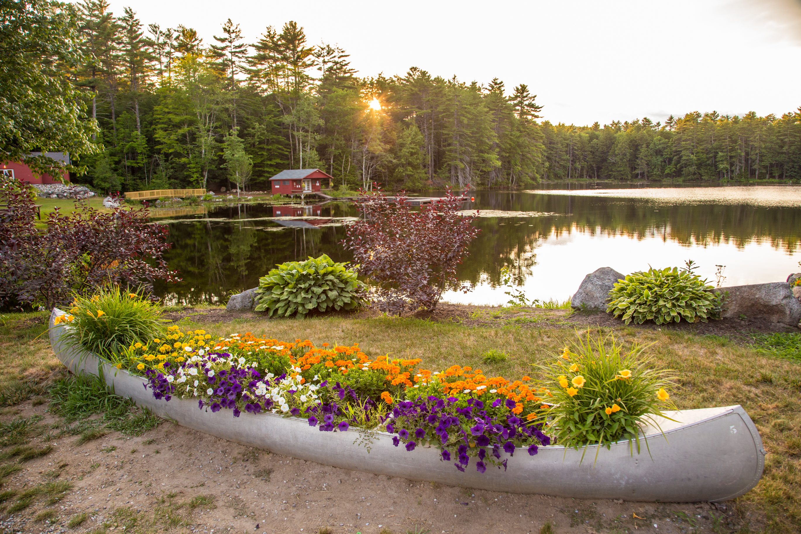 Camp Laurel South featured image