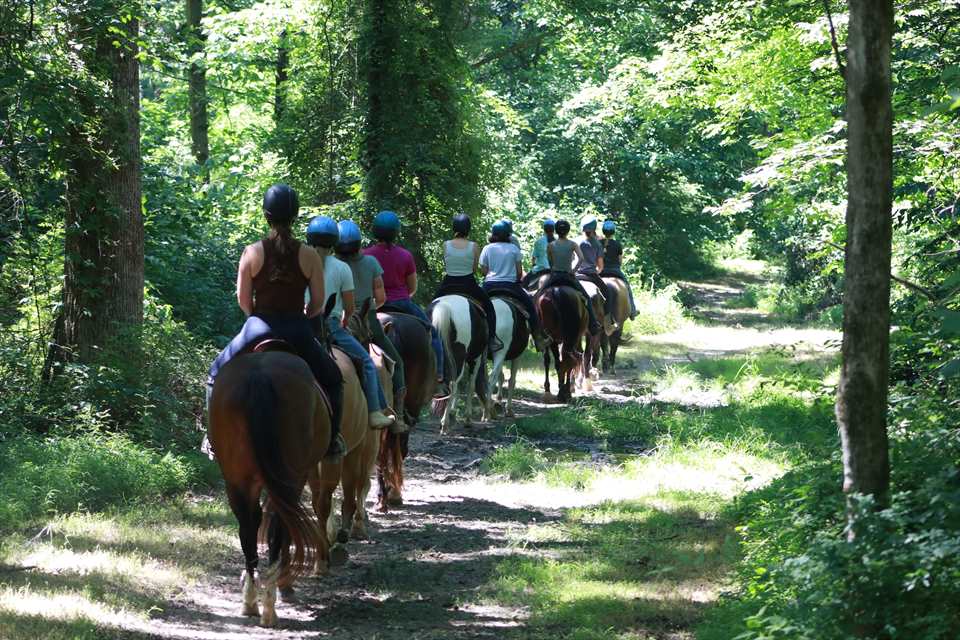 YMCA Camp Carson featured image