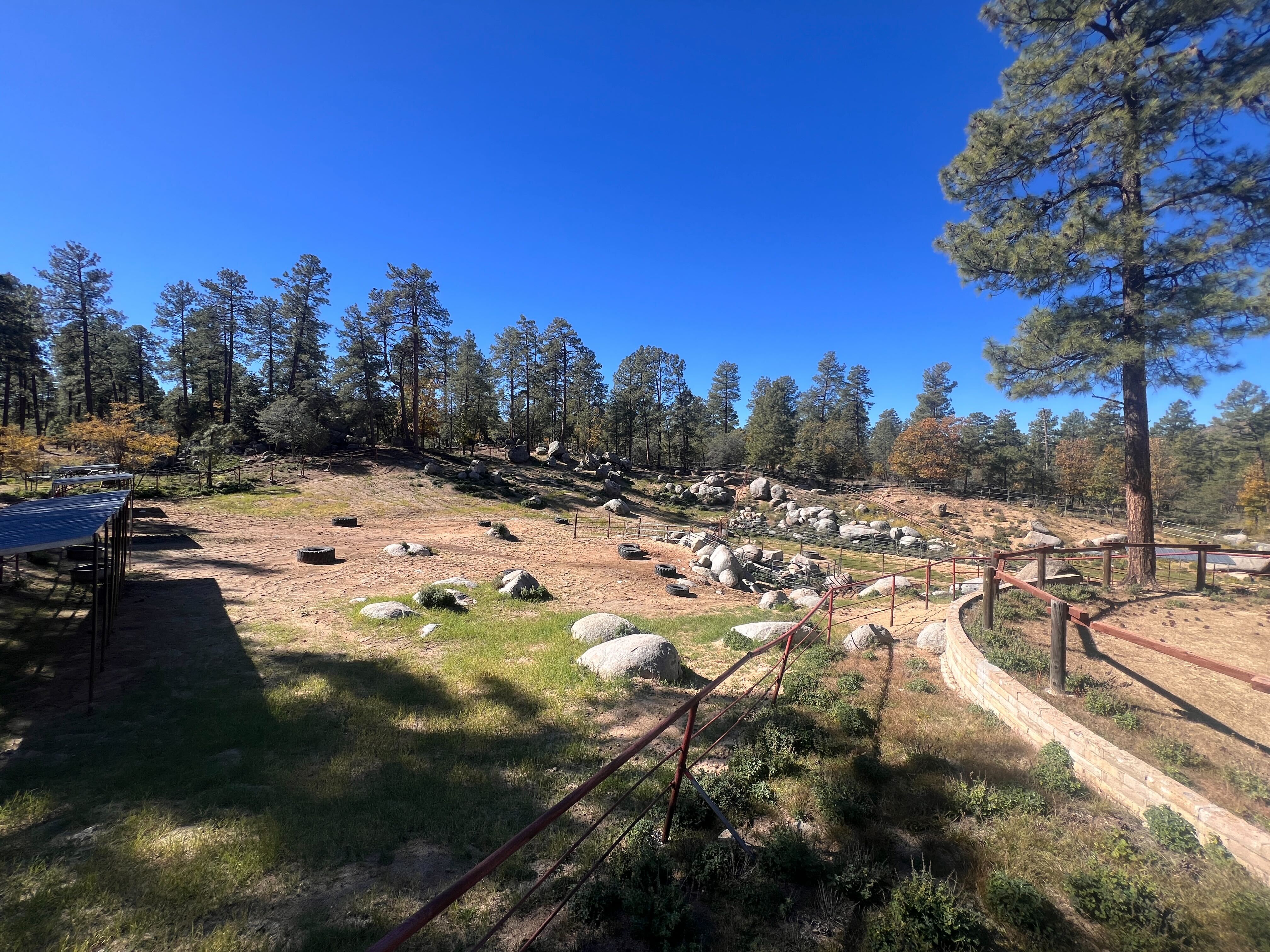 Friendly Pines Camp featured image