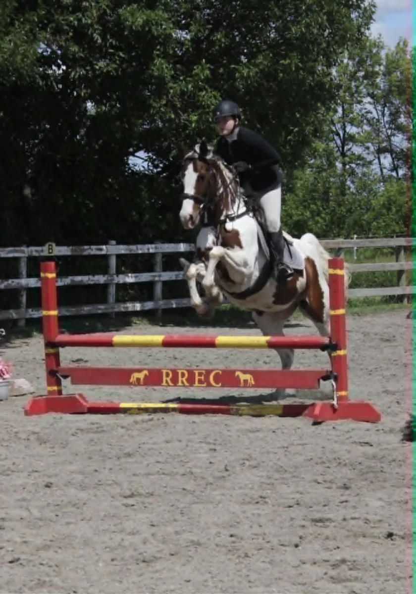 Red River Equestrian Center featured image