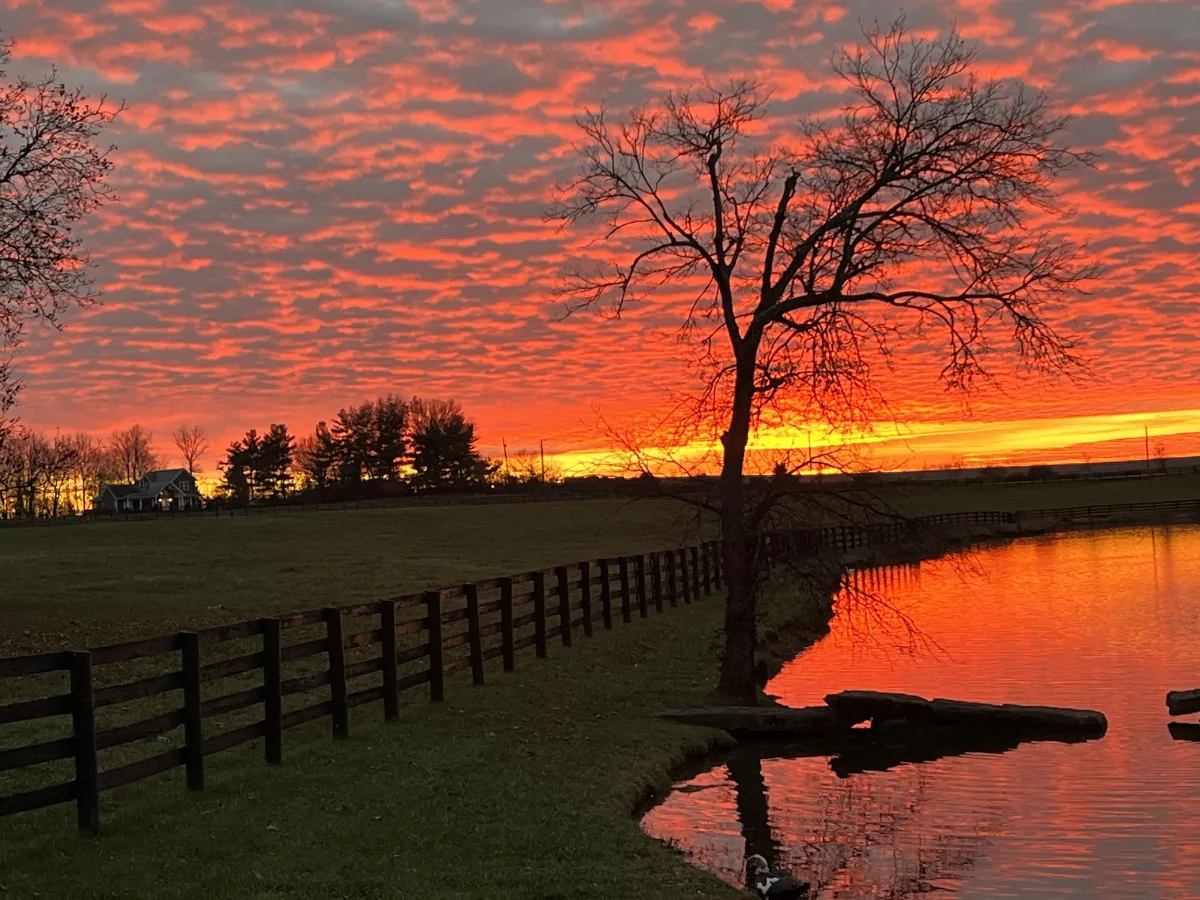 Willowbank Farm featured image