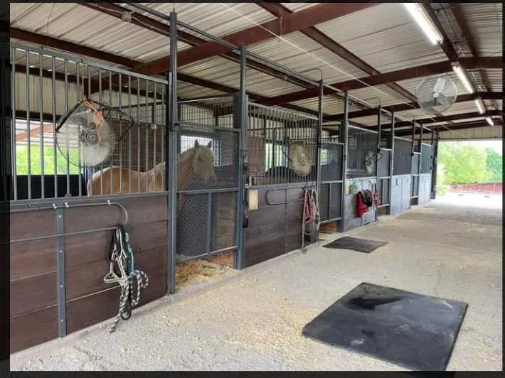 Fort Worth Horseshoe Club featured image