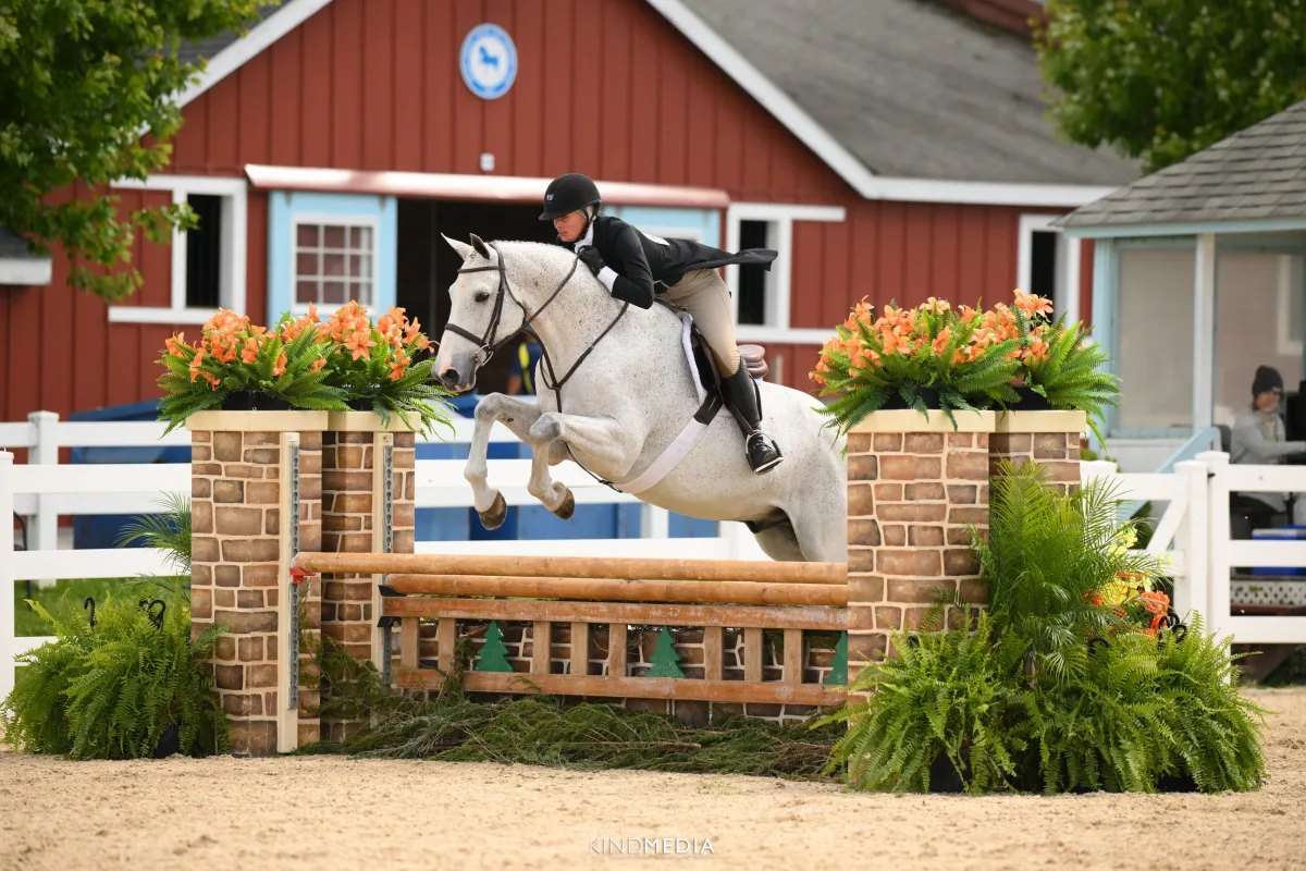 Dark Horse Farm featured image