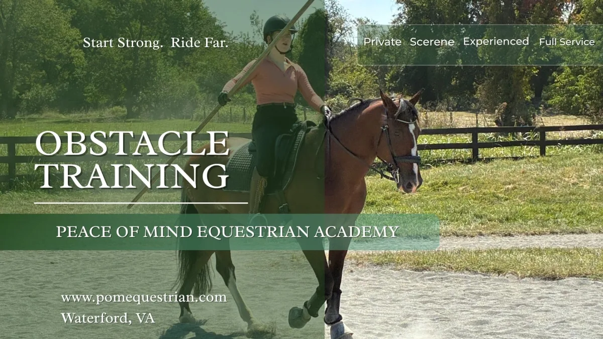 Peace Of Mind Dressage featured image