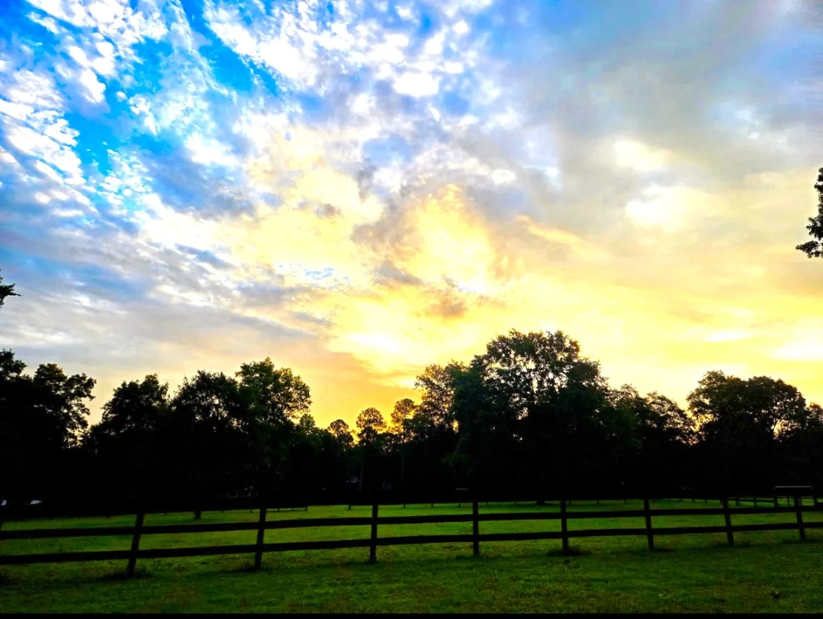 Southbrook Farm featured image
