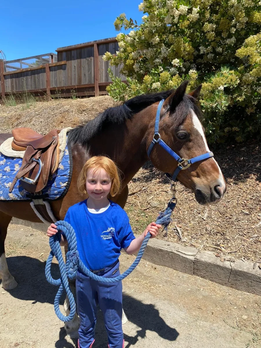 Victoria Dye Equestrian featured image