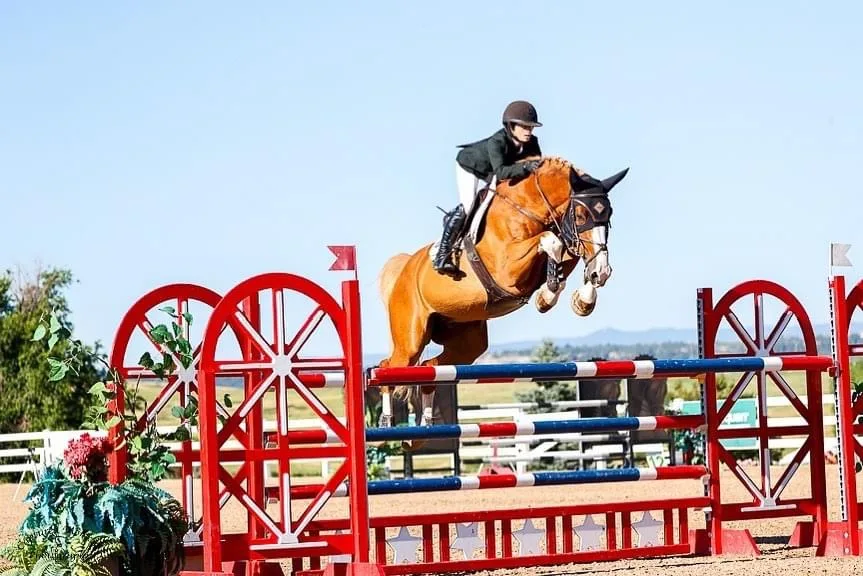 Eighteen Acres Farm featured image