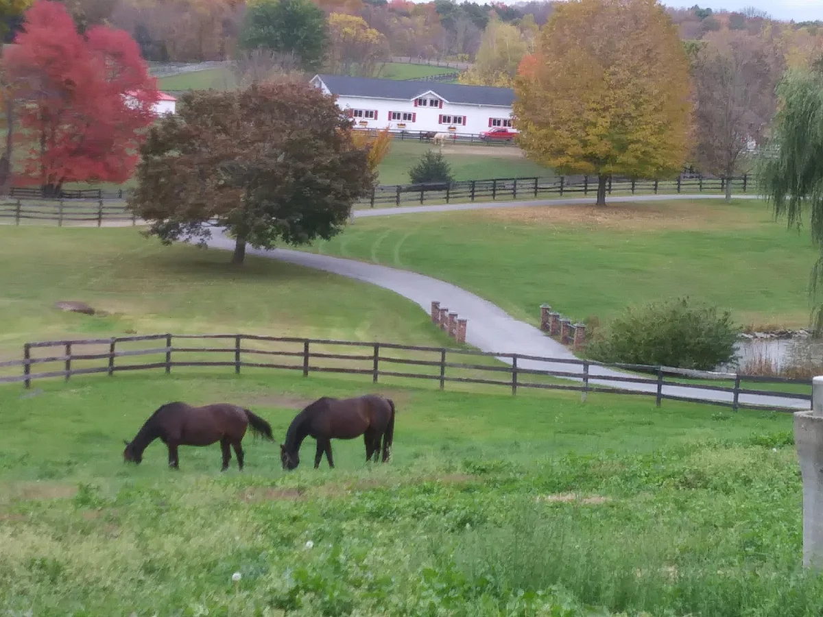 Buttonwood Farm featured image