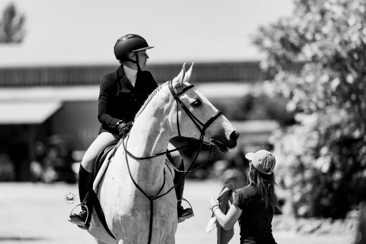 Mondorf Jumpers LLC featured image