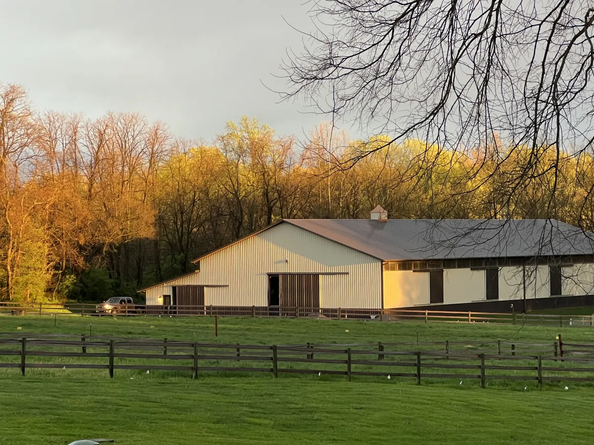 Lucky Charm Farm featured image