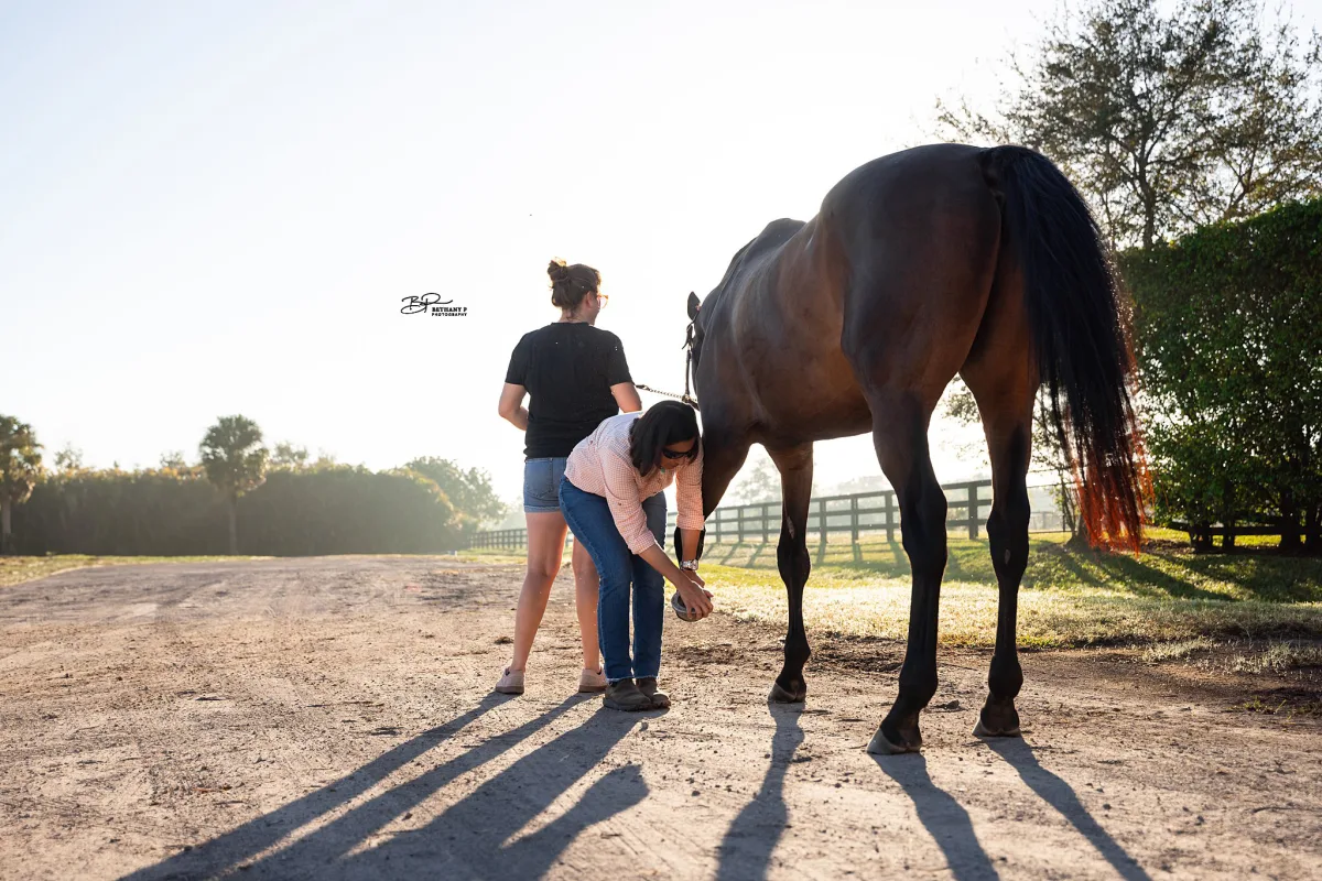 Rabanal Equine featured image