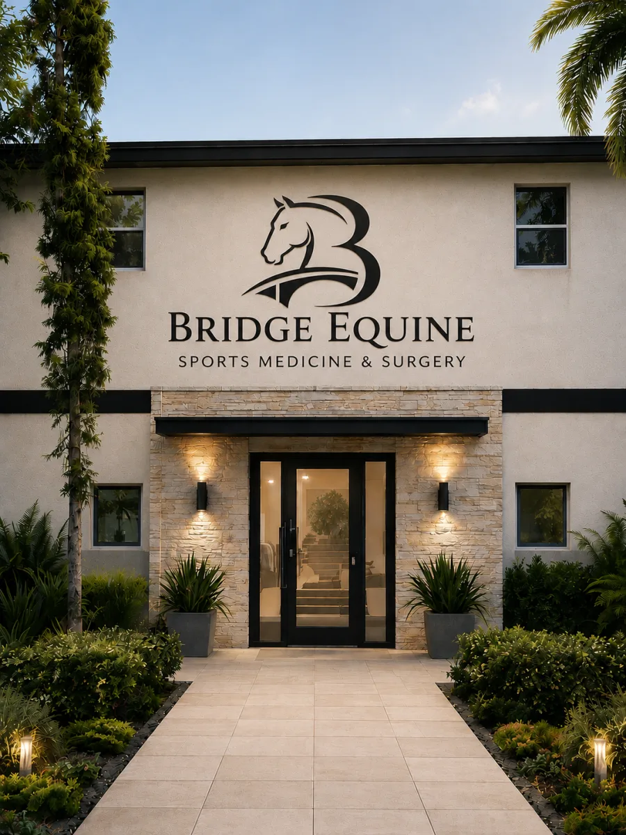 Bridge Equine Sports Medicine and Surgery featured image