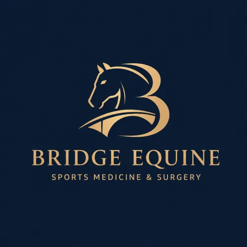 Bridge Equine Sports Medicine and Surgery logo