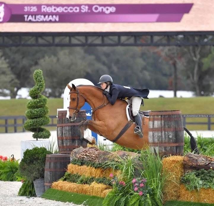 Century Mill Stables logo