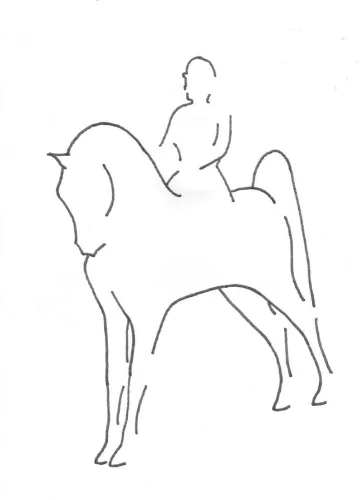 Vantage Point Farm, LLC logo
