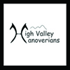 High Valley Hanoverians logo