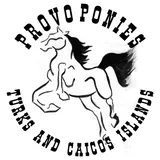 Provo Ponies logo