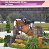 Century Mill Stables logo